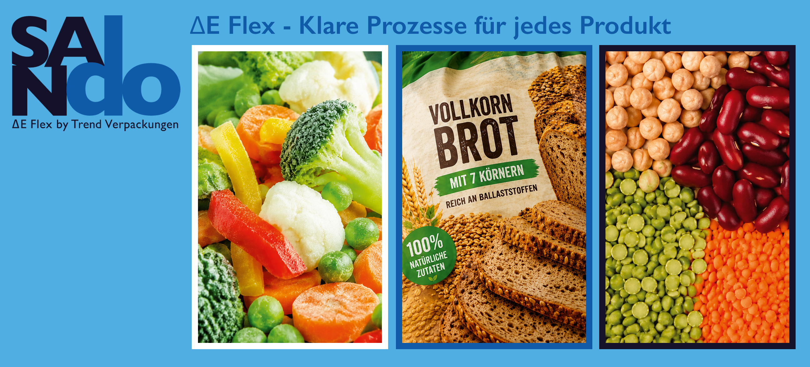 SANdo DeltaFlex Klare Prozesse