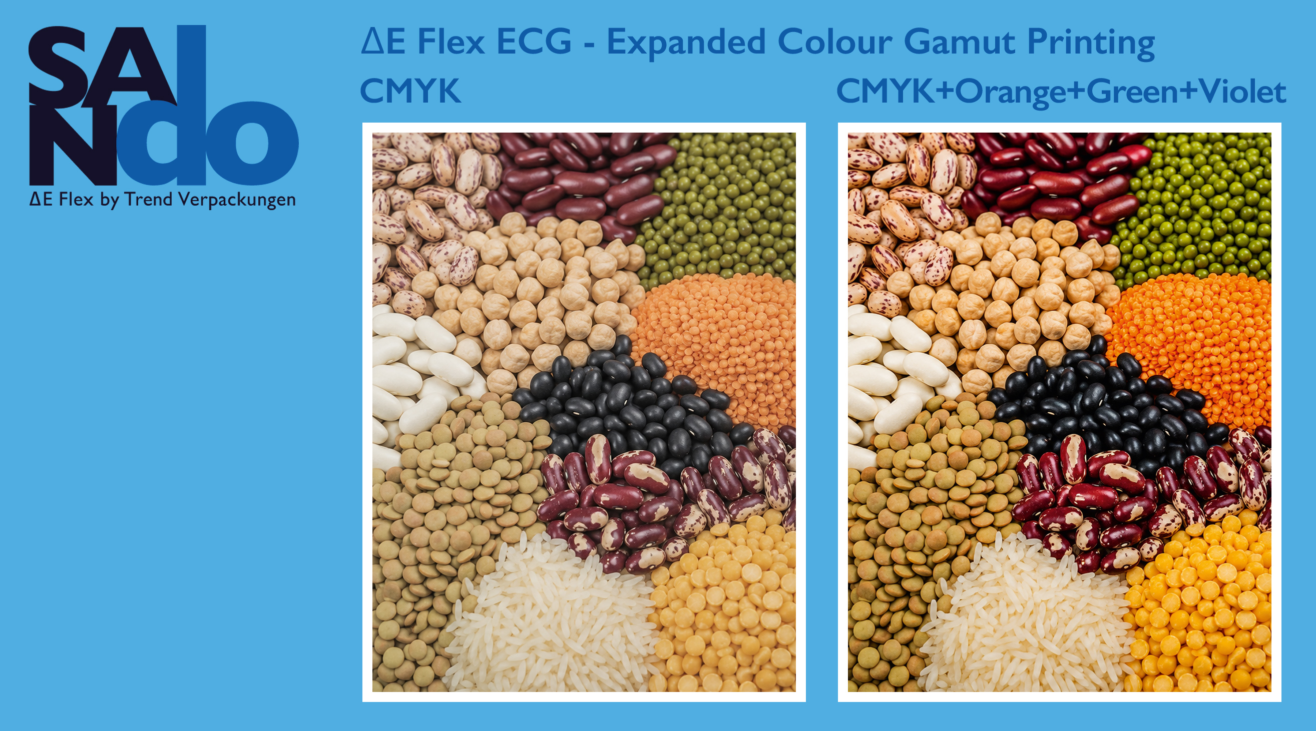 E DeltaE ECG Legumes